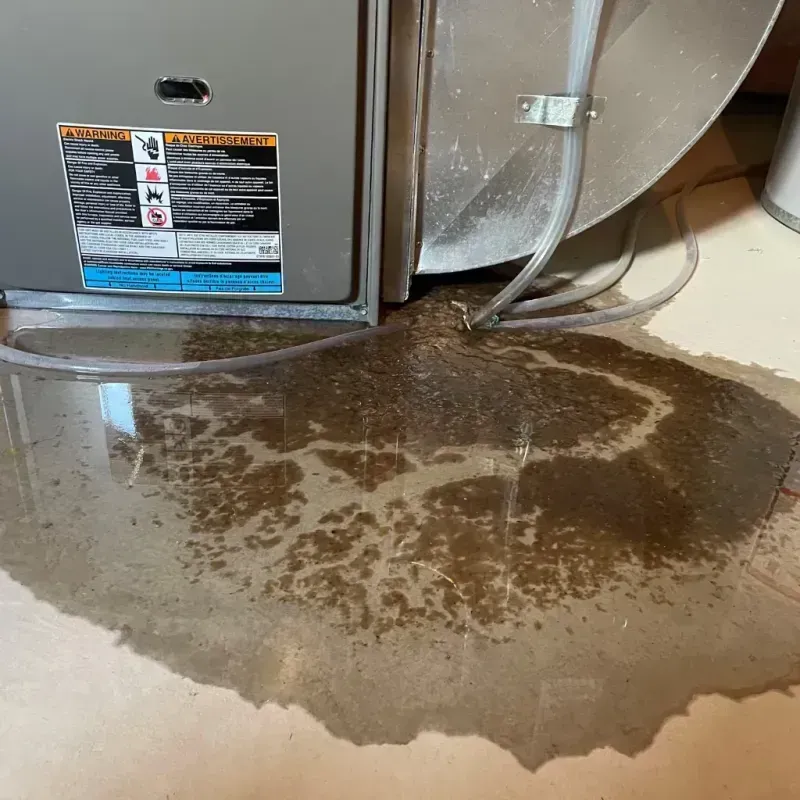 Appliance Leak Cleanup in Umatilla County, OR